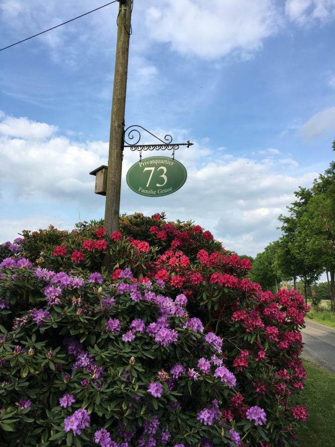 Privatquartier 73 Hotel Wietzen Eksteriør billede